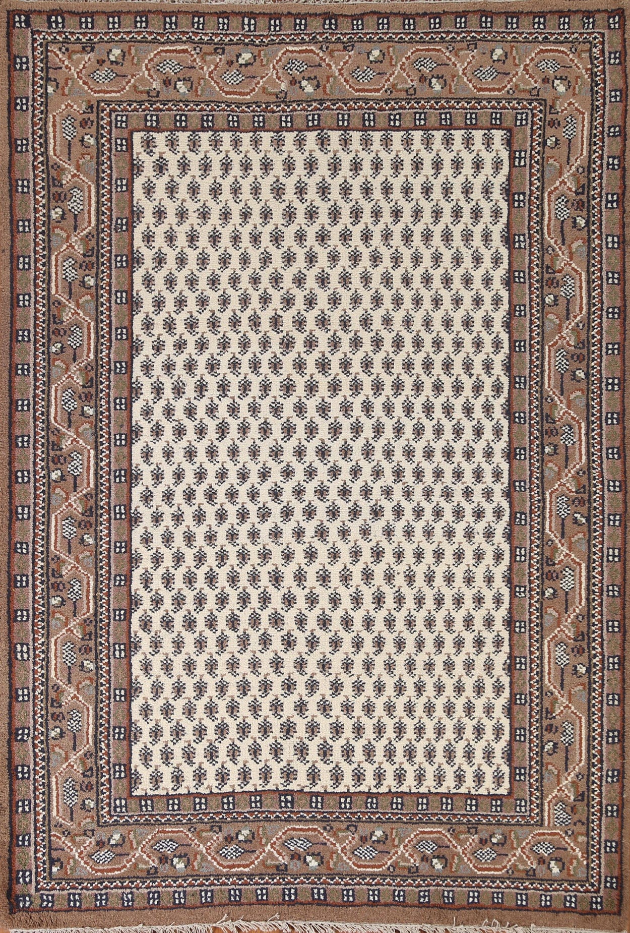 Boteh Botemir Oriental Area Rug 6x8