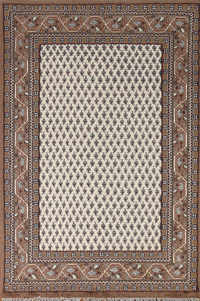 Boteh Botemir Oriental Area Rug 6x8