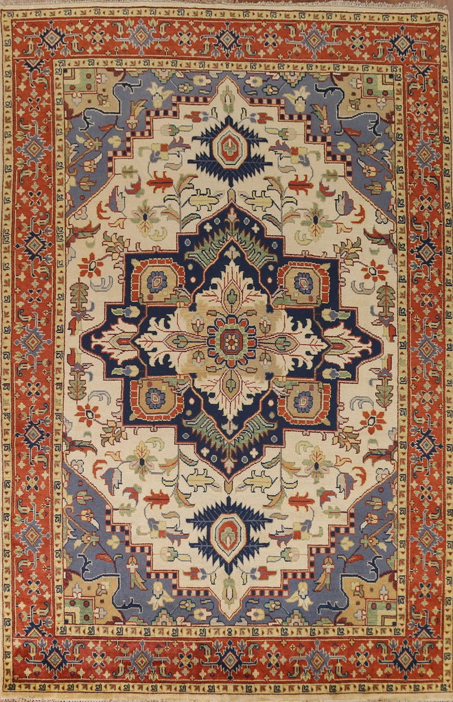 Heriz Oriental Area Rug 9x12