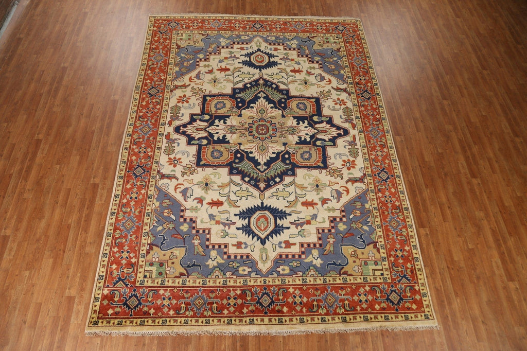 Heriz Oriental Area Rug 9x12