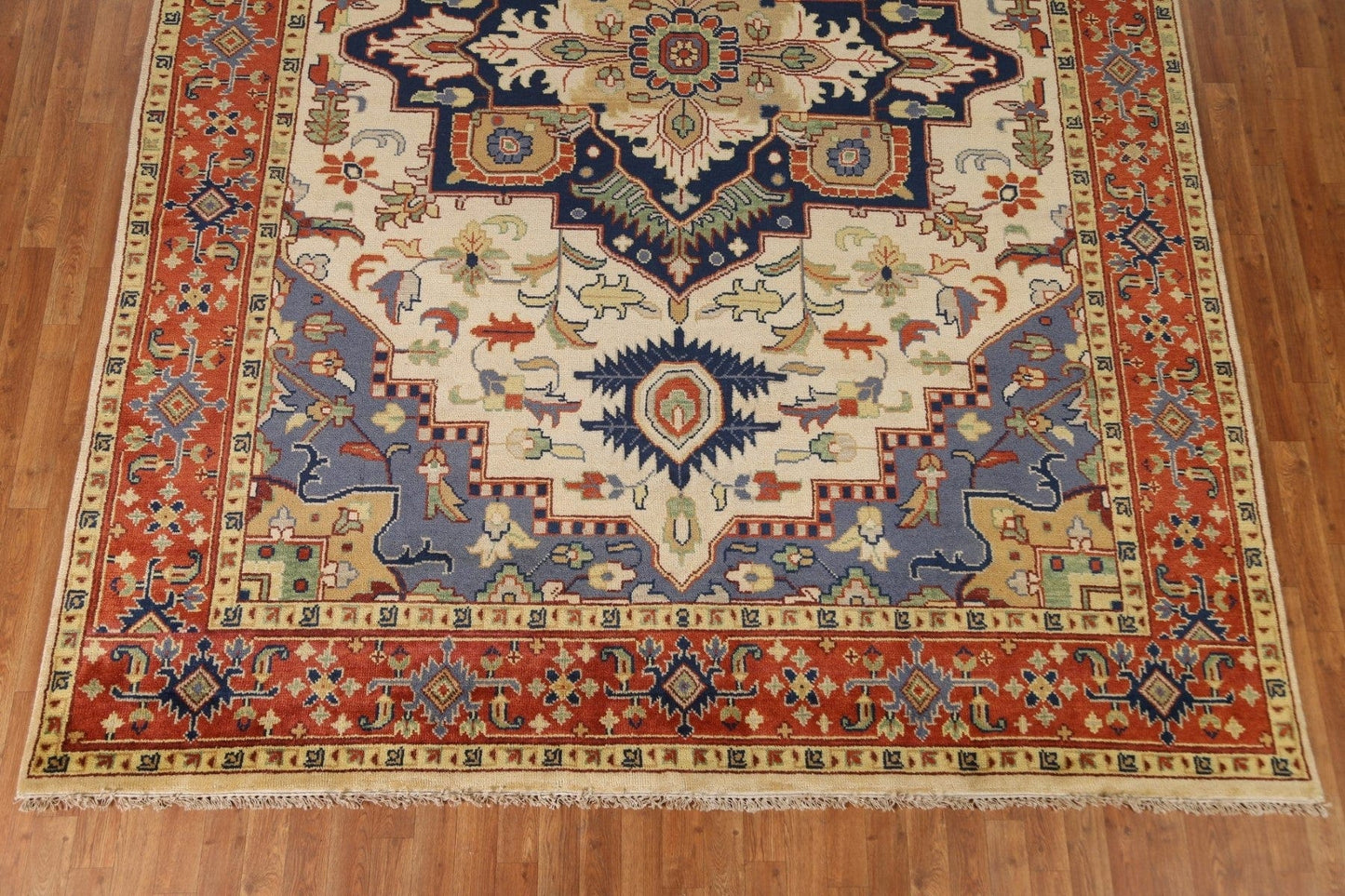 Heriz Oriental Area Rug 9x12