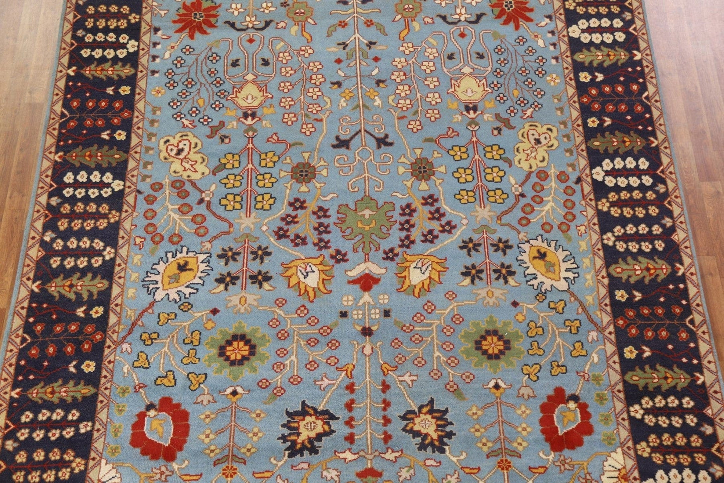 Heriz Oriental Area Rug 9x12