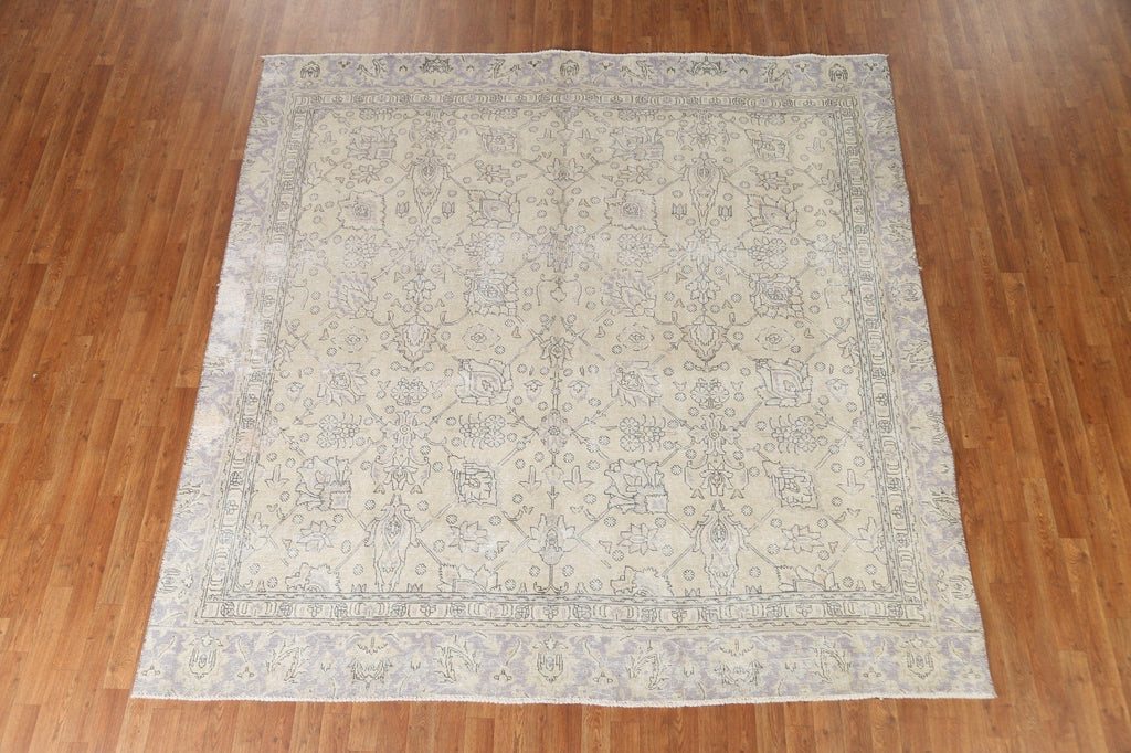 Distressed Muted Tabriz Persian Square Rug 8x8