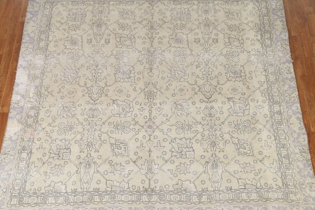 Distressed Muted Tabriz Persian Square Rug 8x8