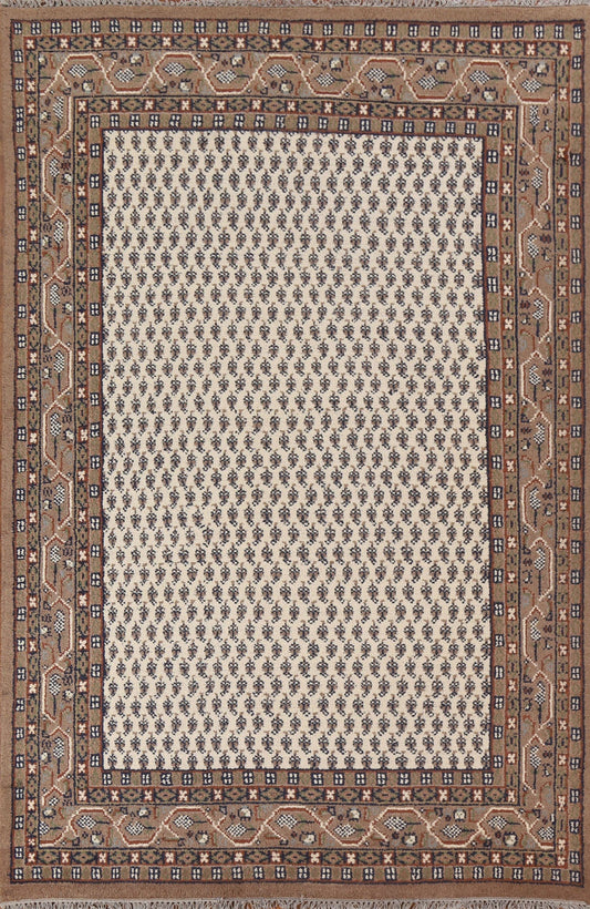 Boteh Botemir Oriental Area Rug 6x9