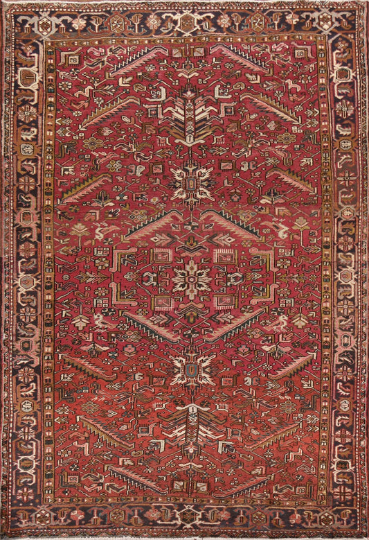 Geometric Heriz Persian Area Rug 7x10