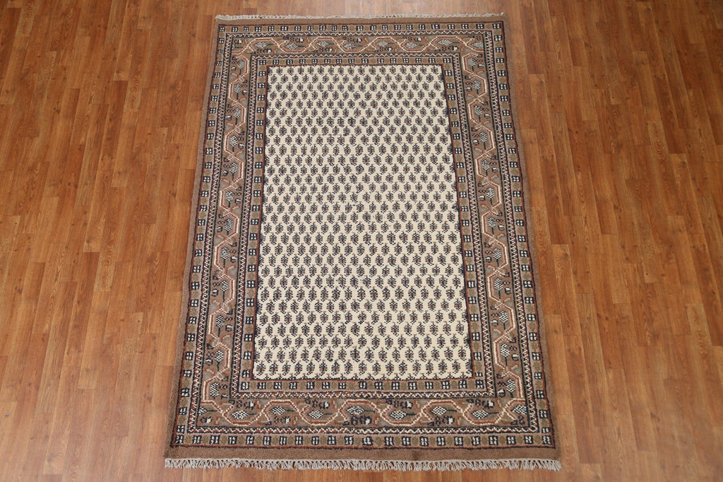 Boteh Botemir Oriental Area Rug 5x8