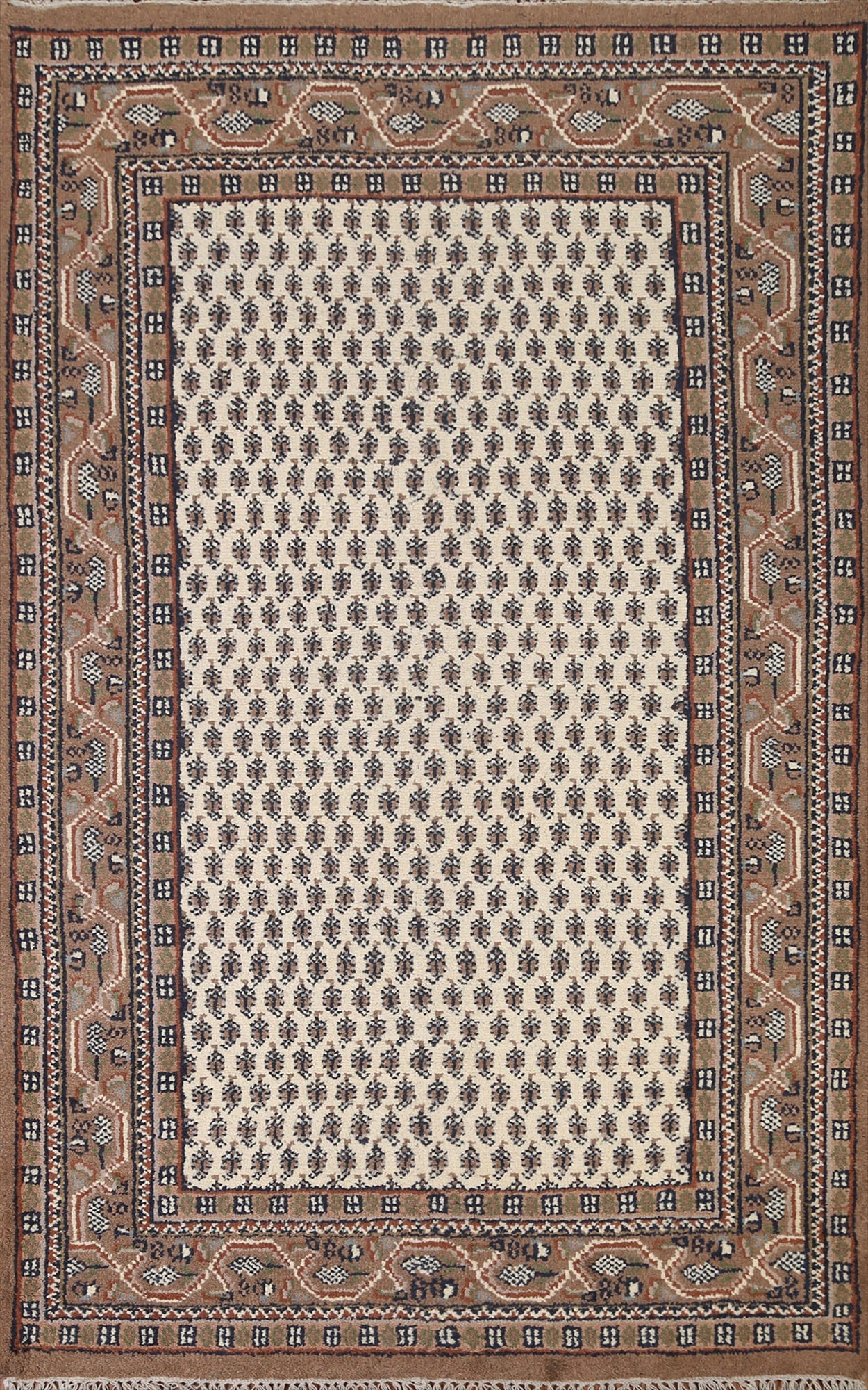 Boteh Botemir Oriental Area Rug 5x8