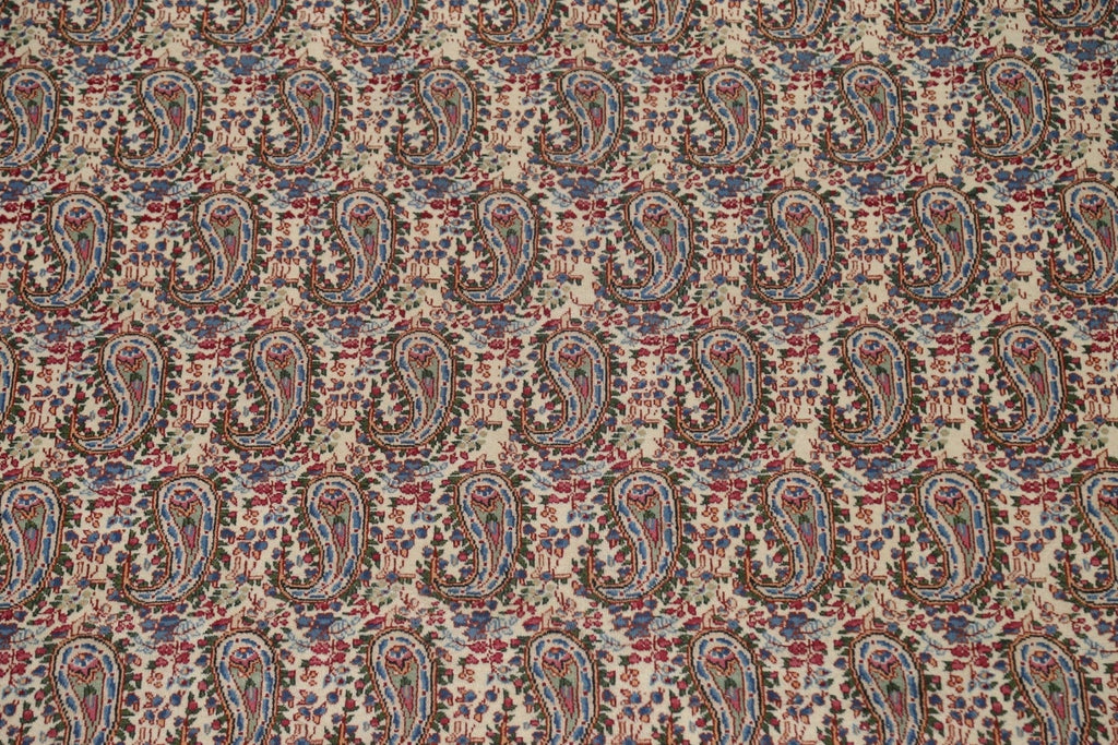 All-Over Paisley Mood Persian Area Rug 10x13