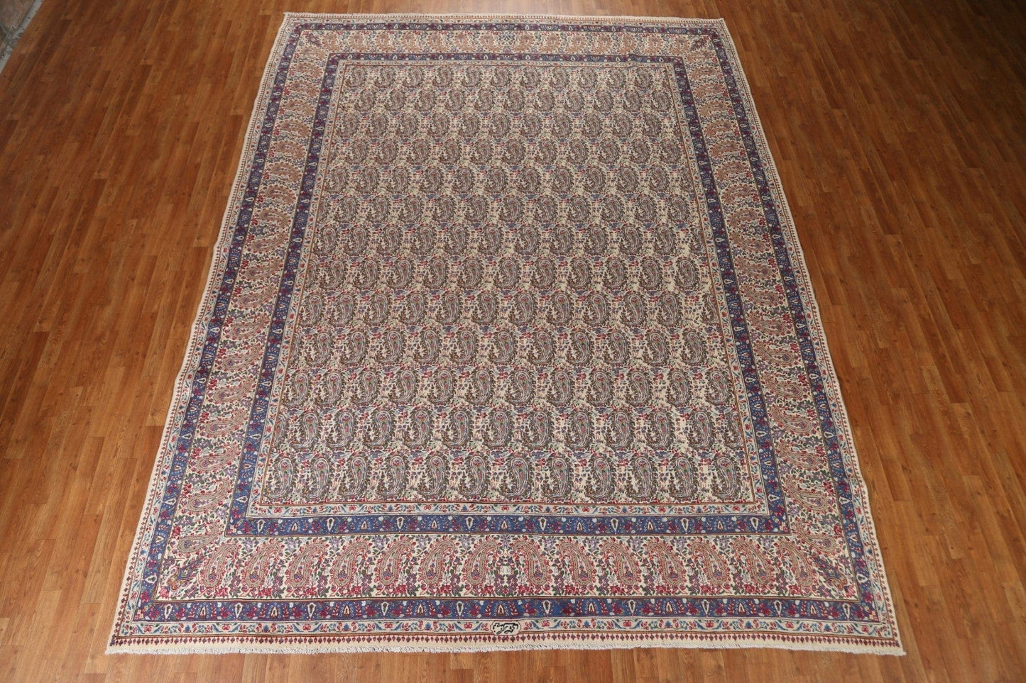 All-Over Paisley Mood Persian Area Rug 10x13