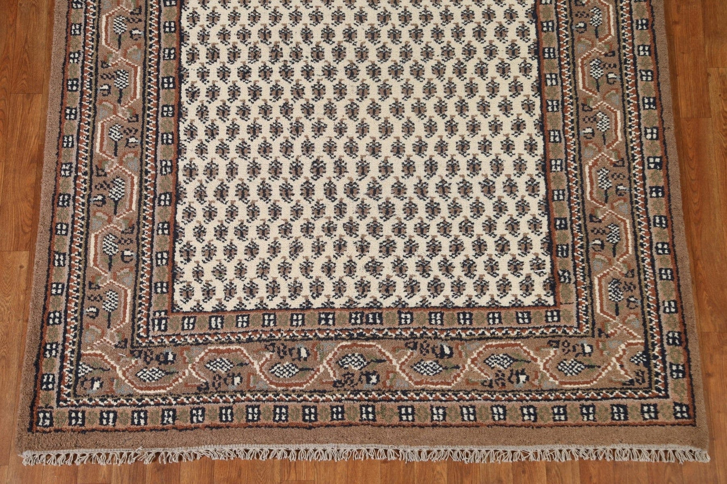 Geometric Botemir Area Rug 6x8