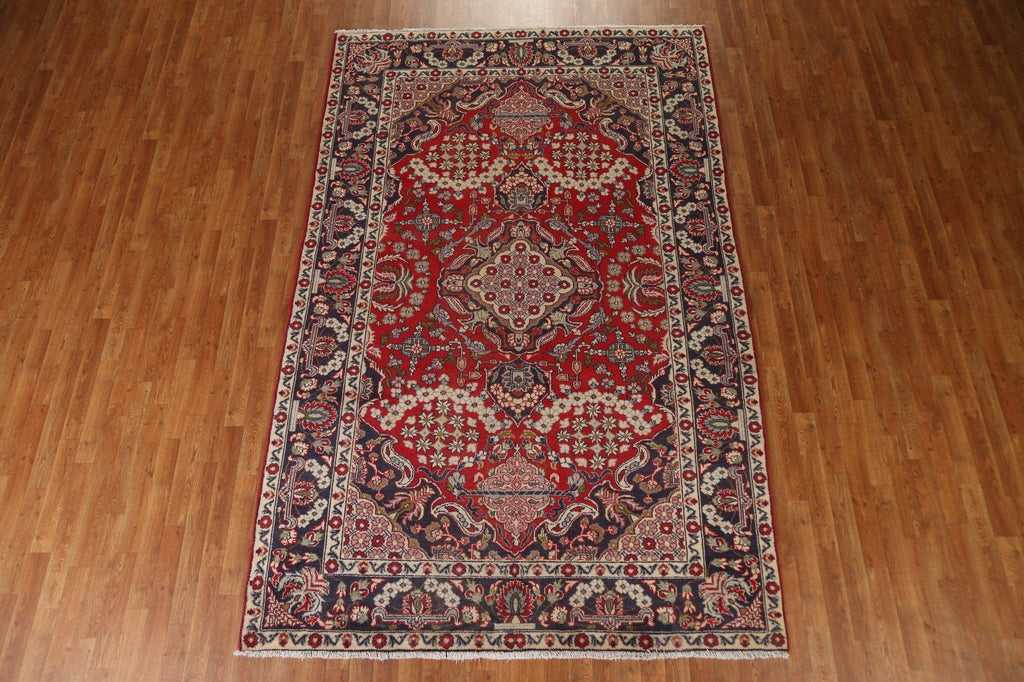 Floral Red Najafabad Persian Area Rug 6x10