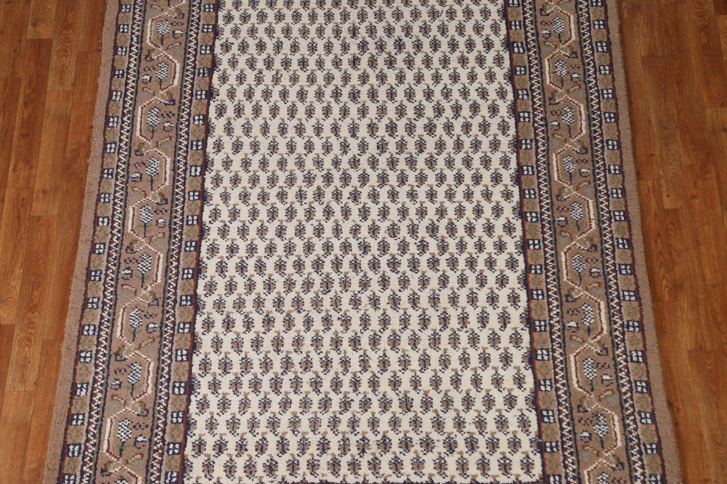 Geometric Botemir Area Rug 6x8