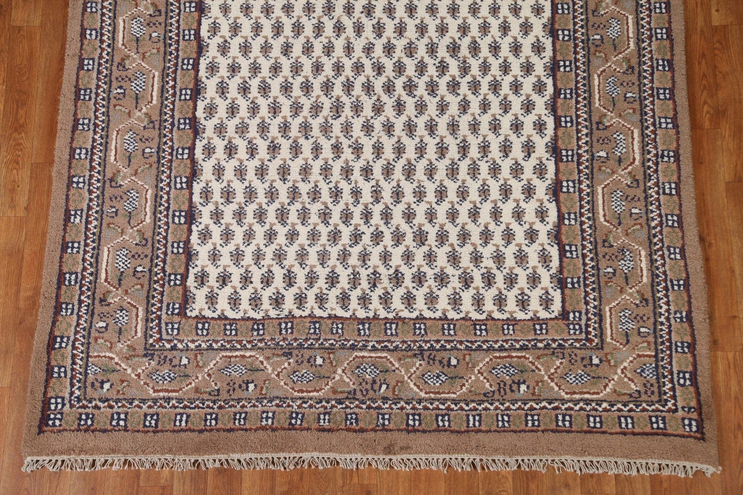 Geometric Botemir Area Rug 6x8