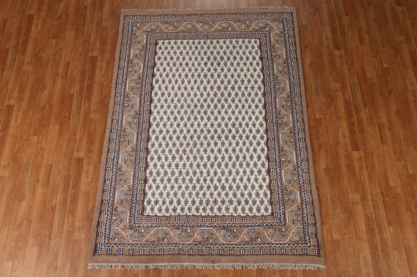 Geometric Botemir Area Rug 6x8