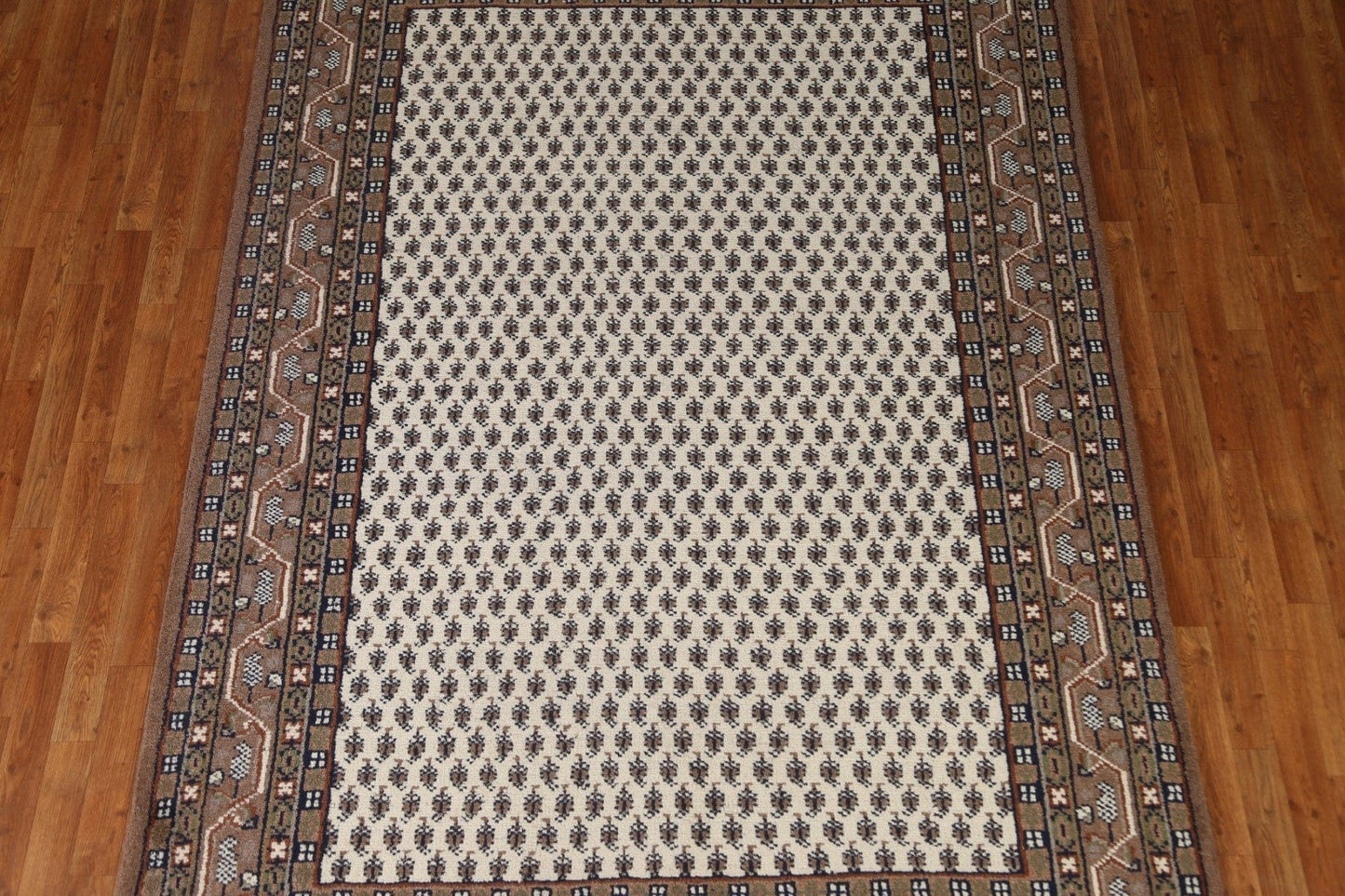 Boteh Botemir Oriental Area Rug 7x10