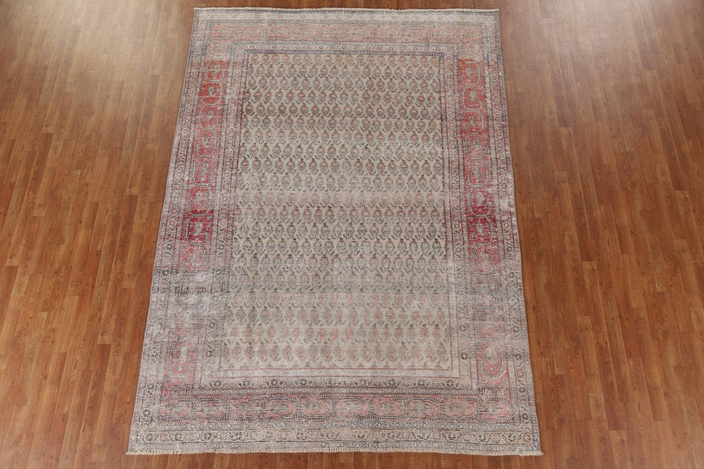 Distressed Botemir Persian Area Rug 7x11