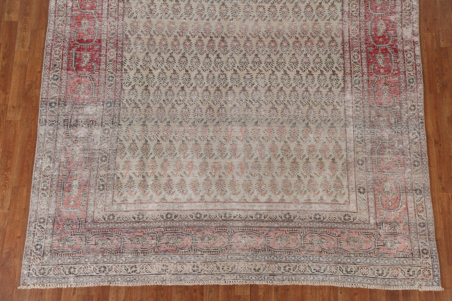 Distressed Botemir Persian Area Rug 7x11