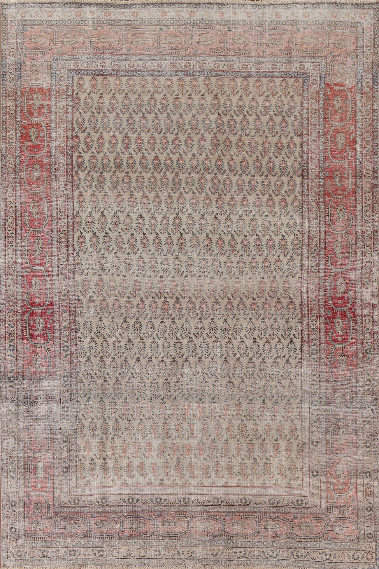 Distressed Botemir Persian Area Rug 7x11