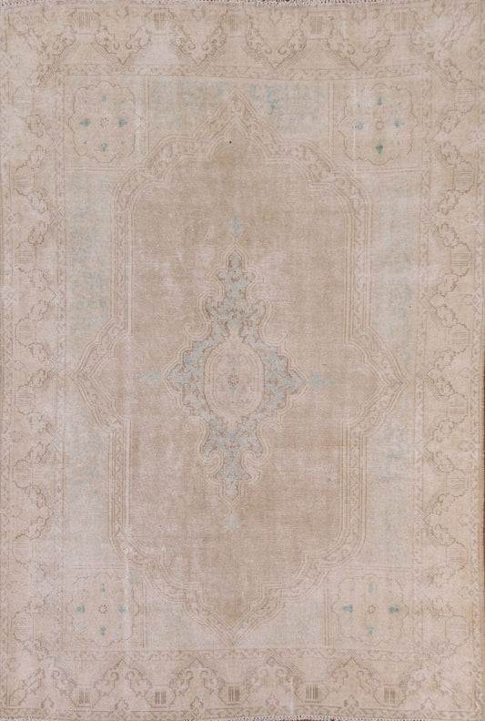 Distressed Kerman Persian Area Rug 6x8