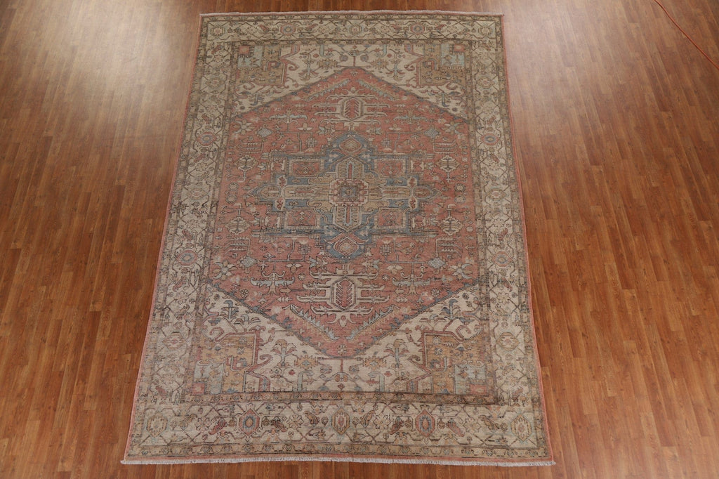 Vegetable Dye Heriz Oriental Area Rug 8x12