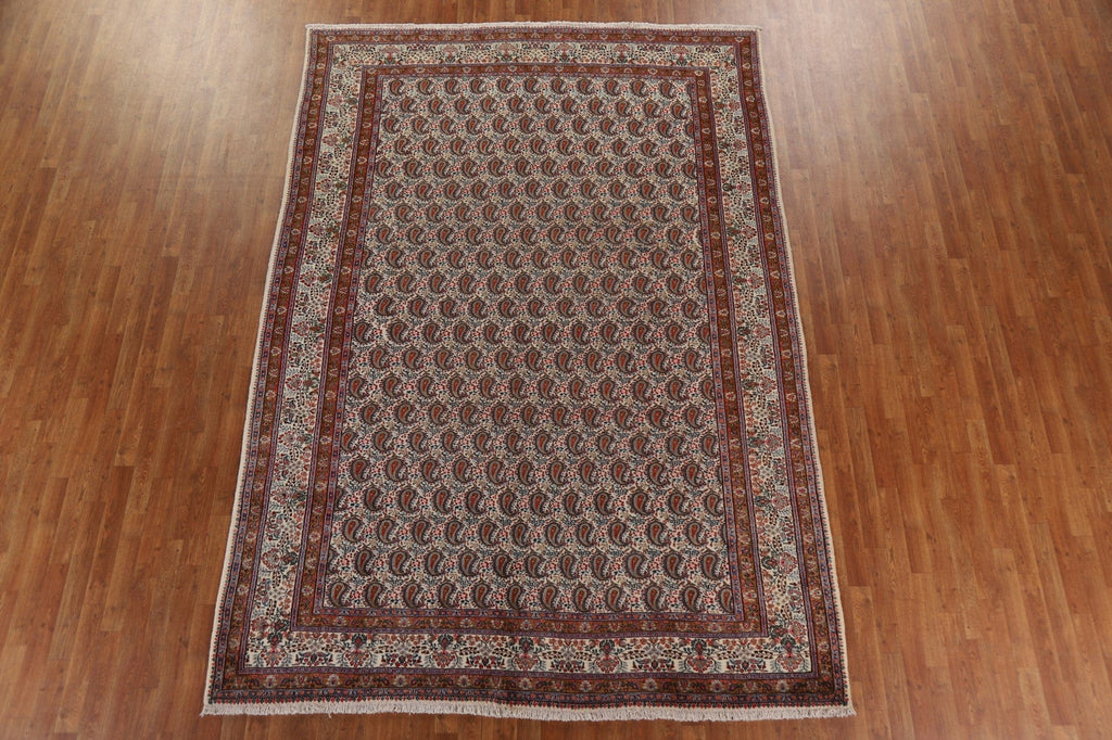 Paisley Mood Persian Area Rug 8x11