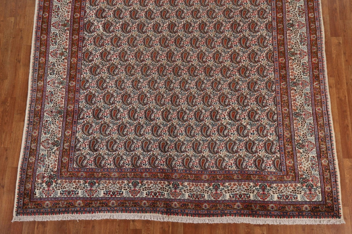 Paisley Mood Persian Area Rug 8x11