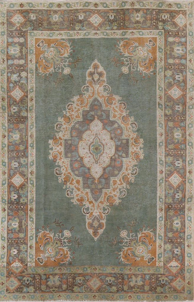 Tabriz Persian Area Rug 7x10