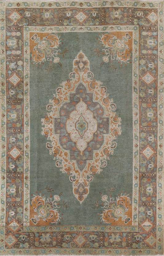 Tabriz Persian Area Rug 7x10