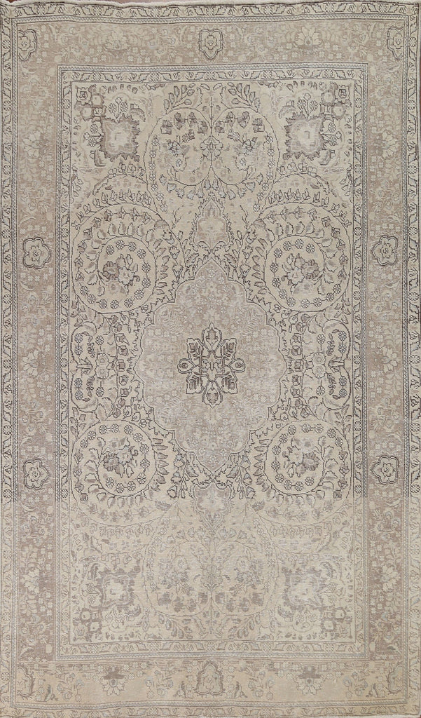 Distressed Muted abriz Persian Area Rug 7x10