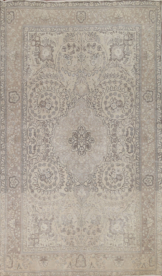 Distressed Muted abriz Persian Area Rug 7x10