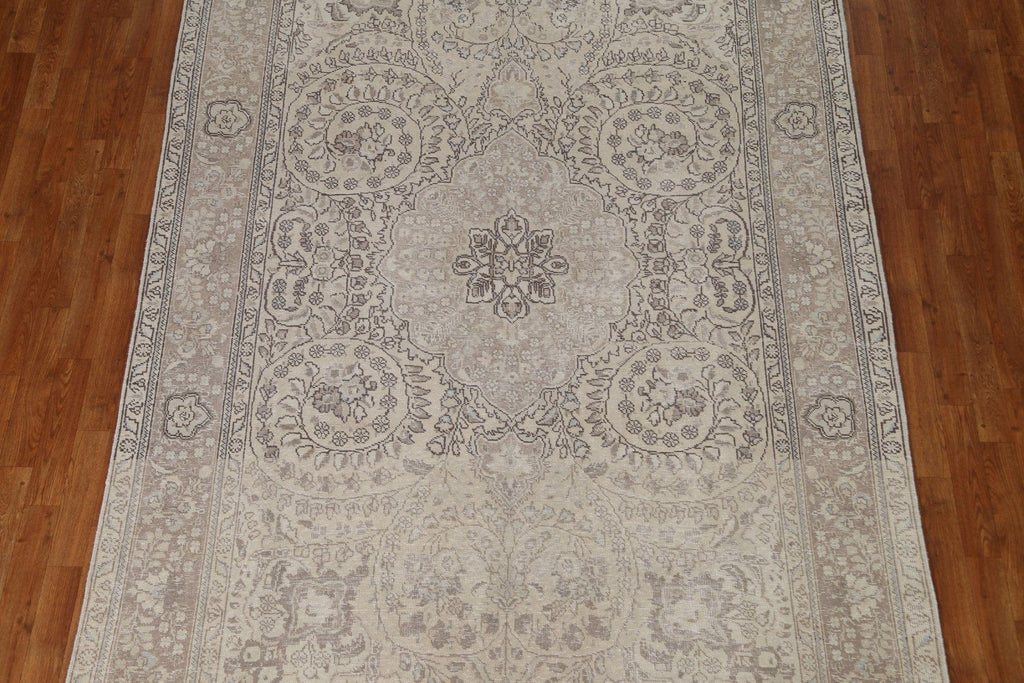 Distressed Muted abriz Persian Area Rug 7x10