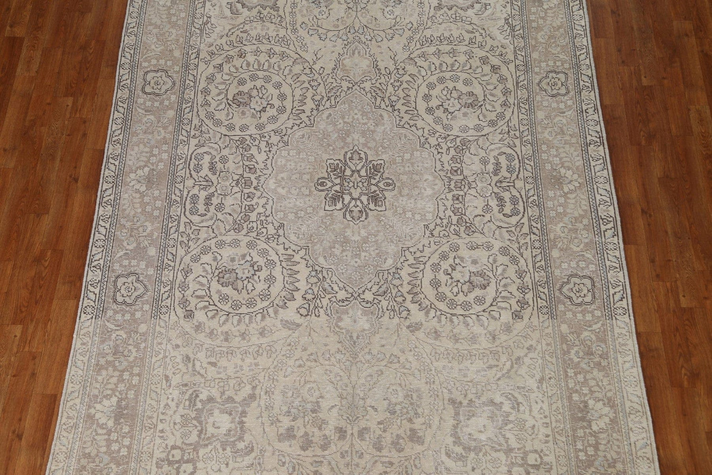 Distressed Muted abriz Persian Area Rug 7x10