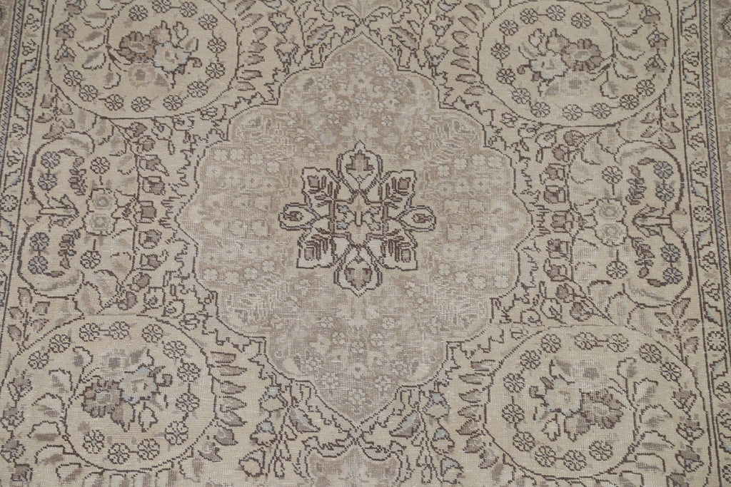 Distressed Muted abriz Persian Area Rug 7x10