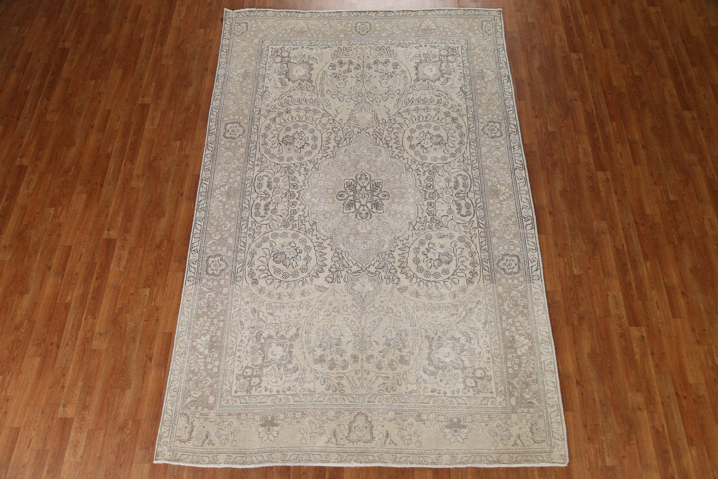 Distressed Muted abriz Persian Area Rug 7x10