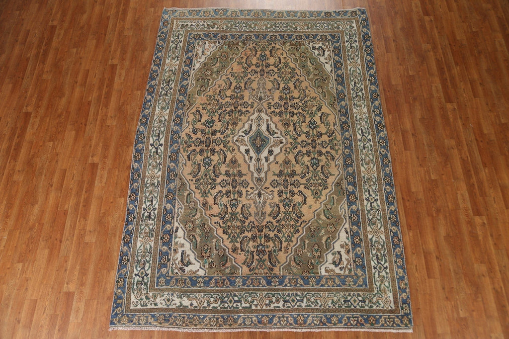 Geometric Hamedan Persian Area Rug 6x9