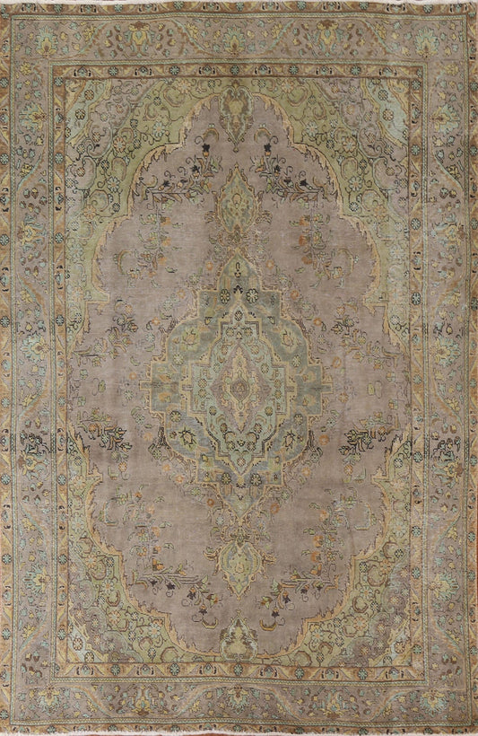 Over-Dyed Tabriz Persian Area Rug 8x11