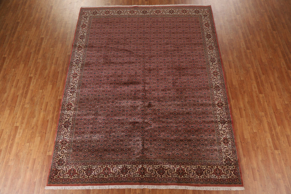 Vegetable Dye Bidjar Persian Area Rug 10x13