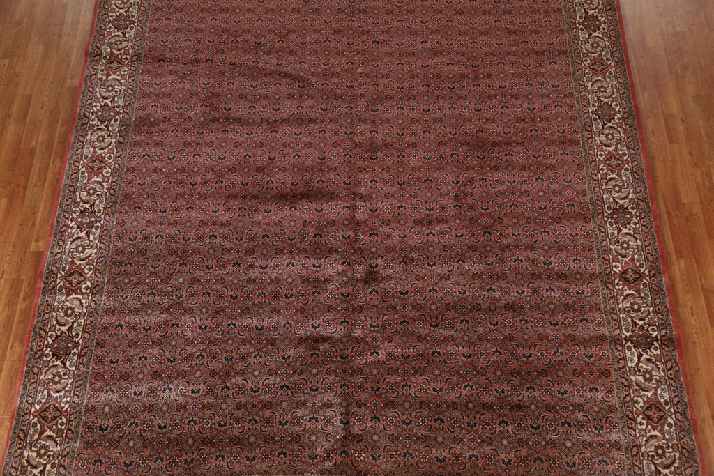 Vegetable Dye Bidjar Persian Area Rug 10x13