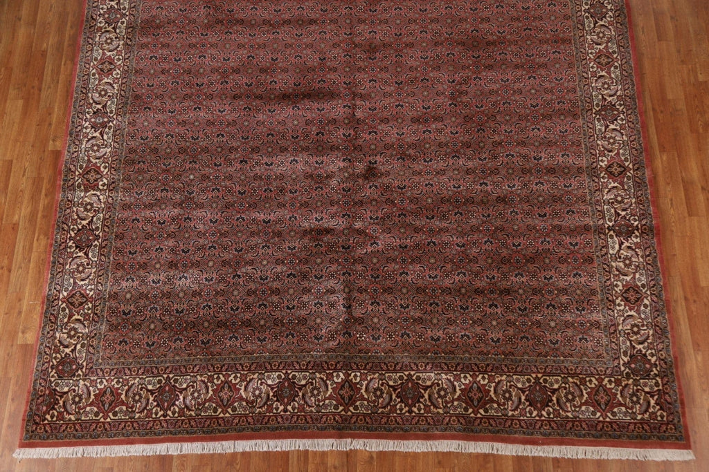 Vegetable Dye Bidjar Persian Area Rug 10x13