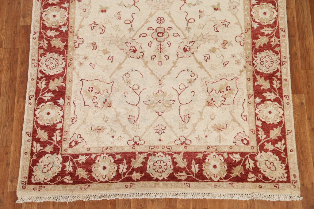 Floral Peshawar Chobi Oriental Area Rug 5x11