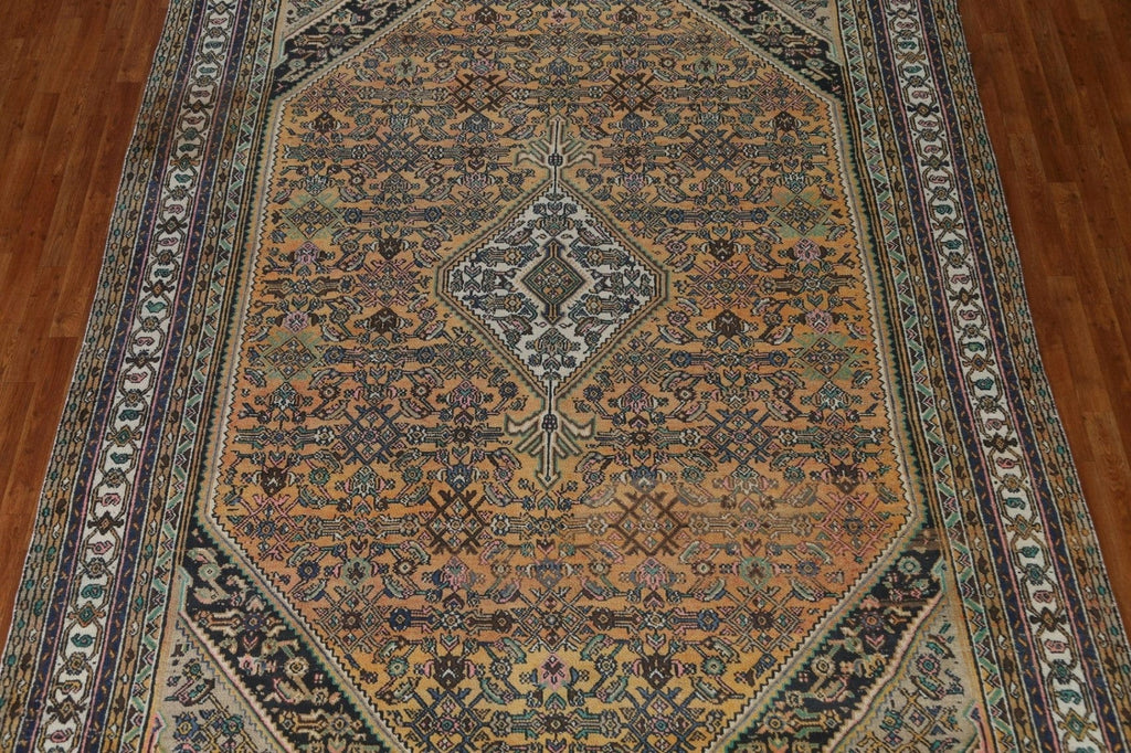 Hamedan Persian Area Rug 9x12