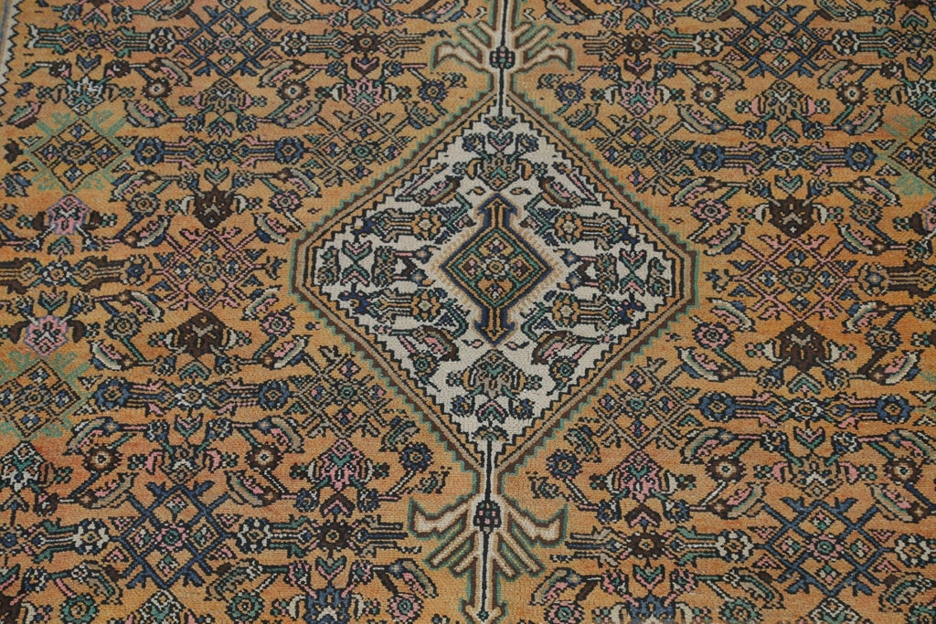 Hamedan Persian Area Rug 9x12