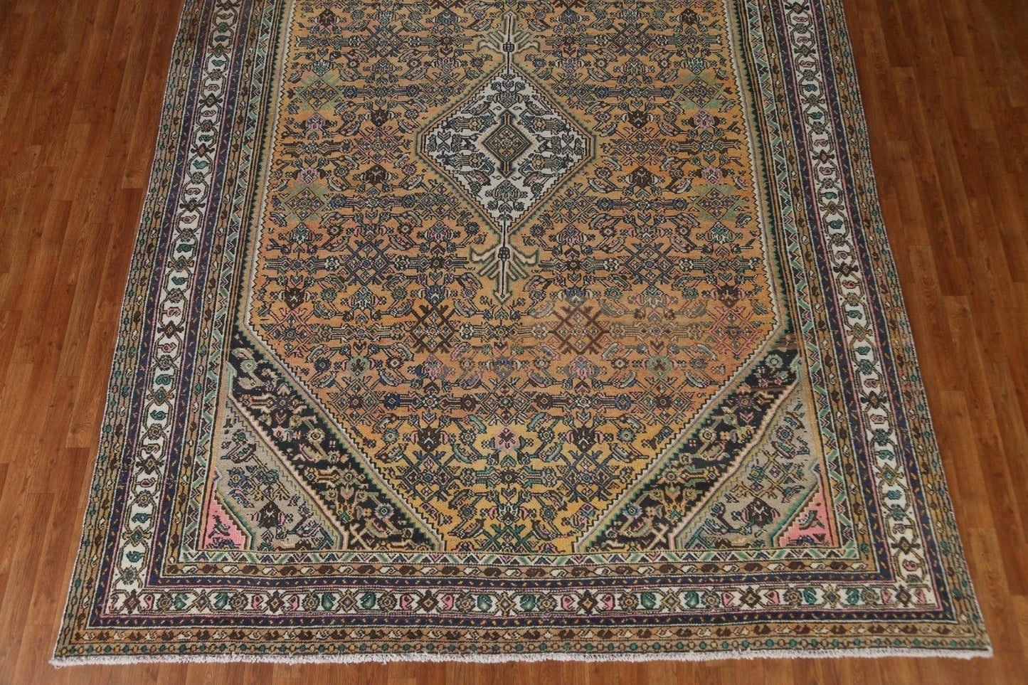 Hamedan Persian Area Rug 9x12