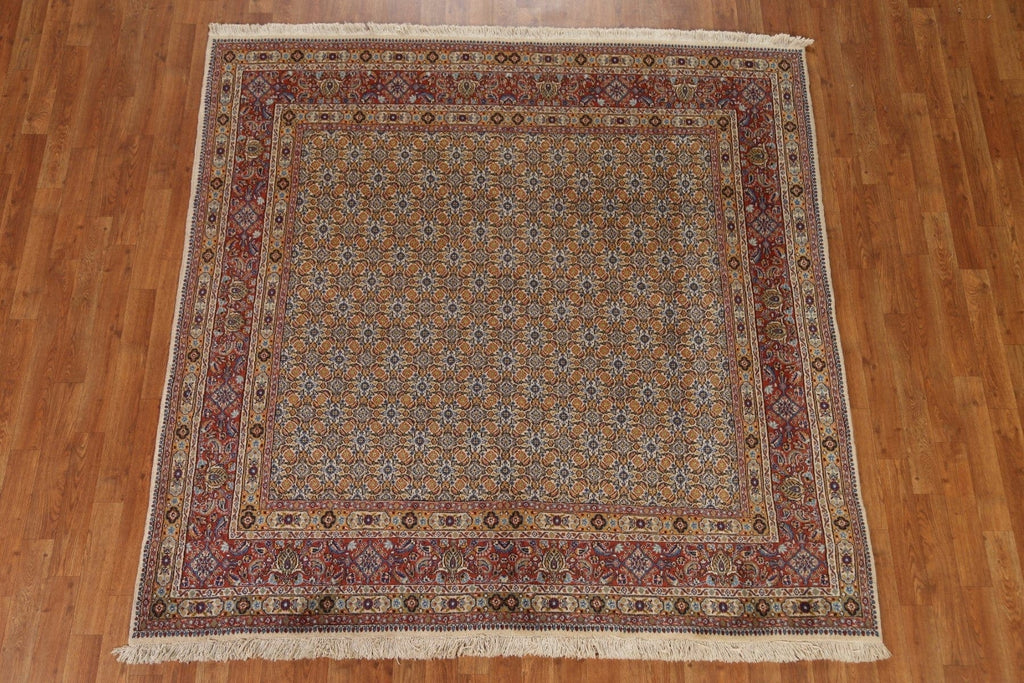 Vintage Mood Persian Square Rug 6x6