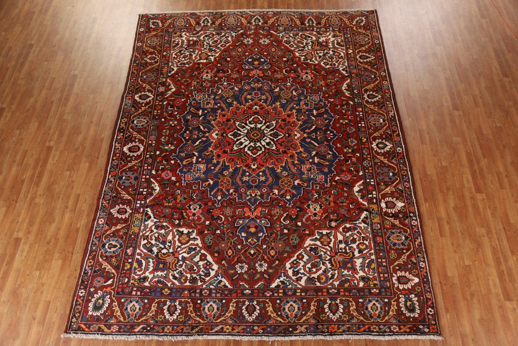 Vegetable Dye Bakhtiari Persian Area Rug 10x13