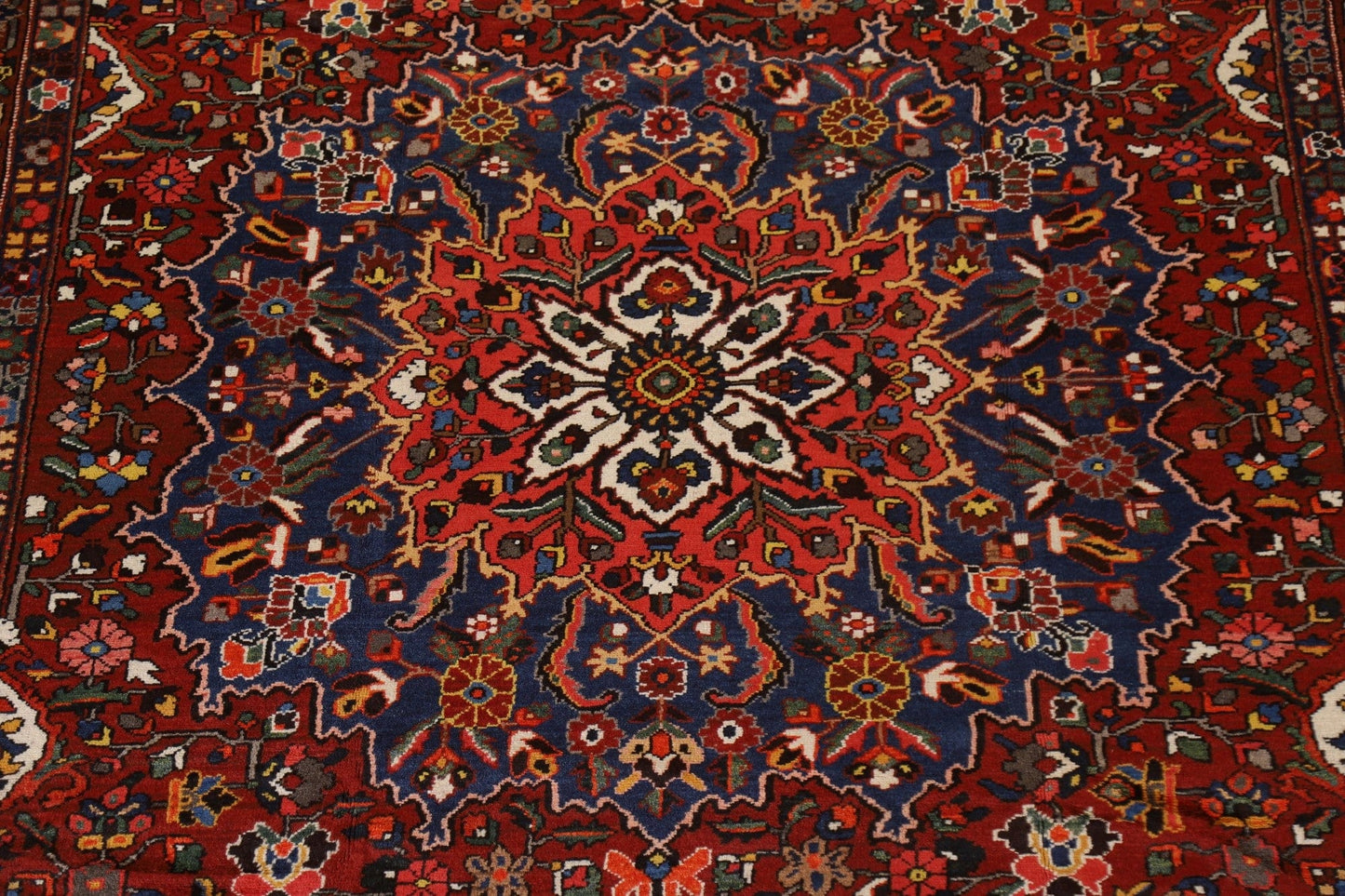 Vegetable Dye Bakhtiari Persian Area Rug 10x13