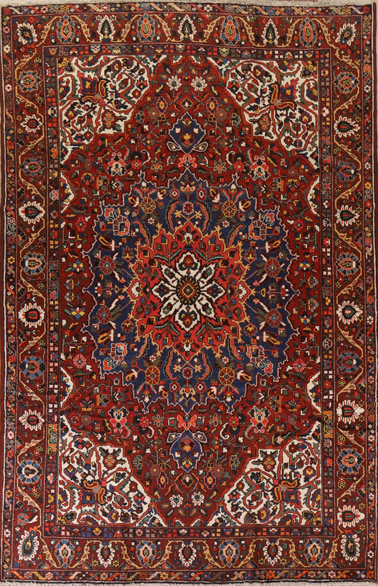 Vegetable Dye Bakhtiari Persian Area Rug 10x13