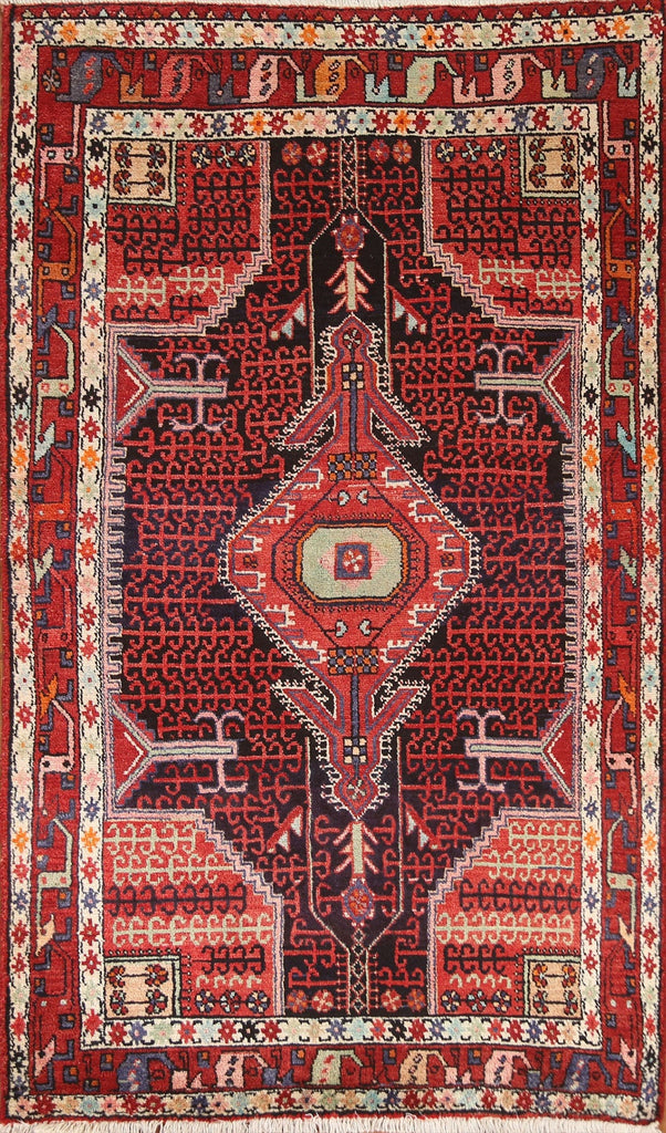 Geometric Hamedan Persian Area Rug 4x7