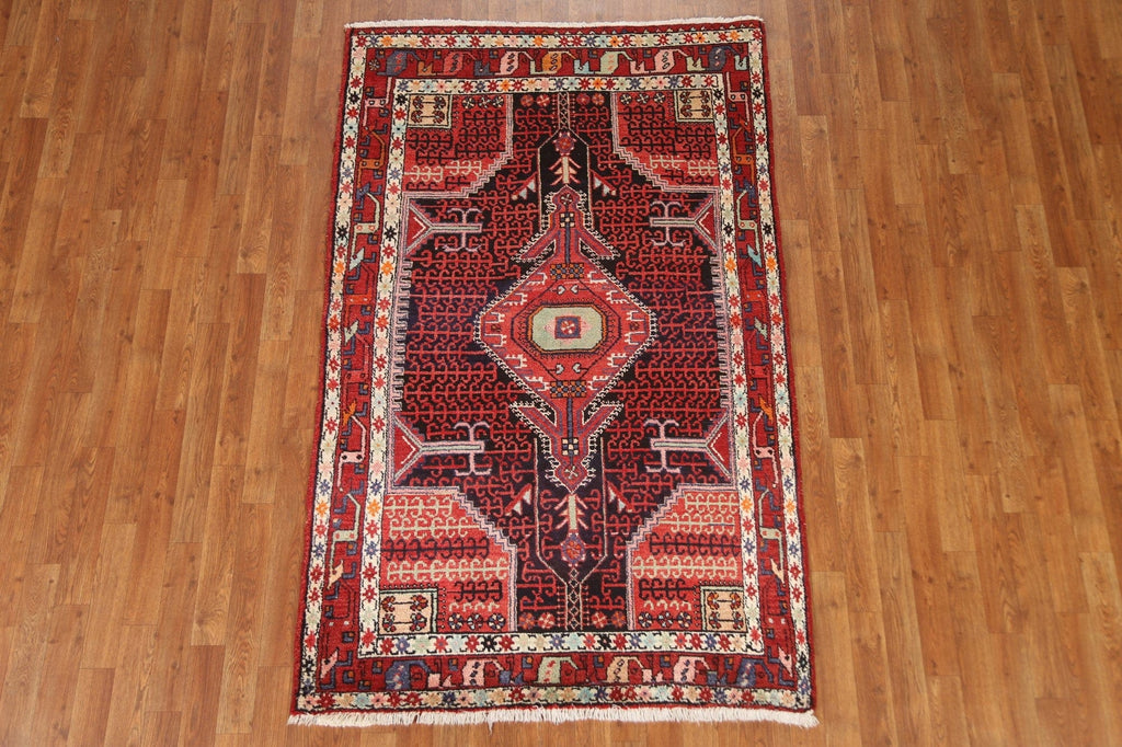 Geometric Hamedan Persian Area Rug 4x7